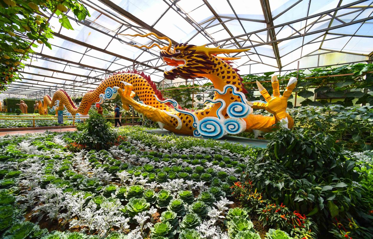 菜博会大型蔬菜景观3