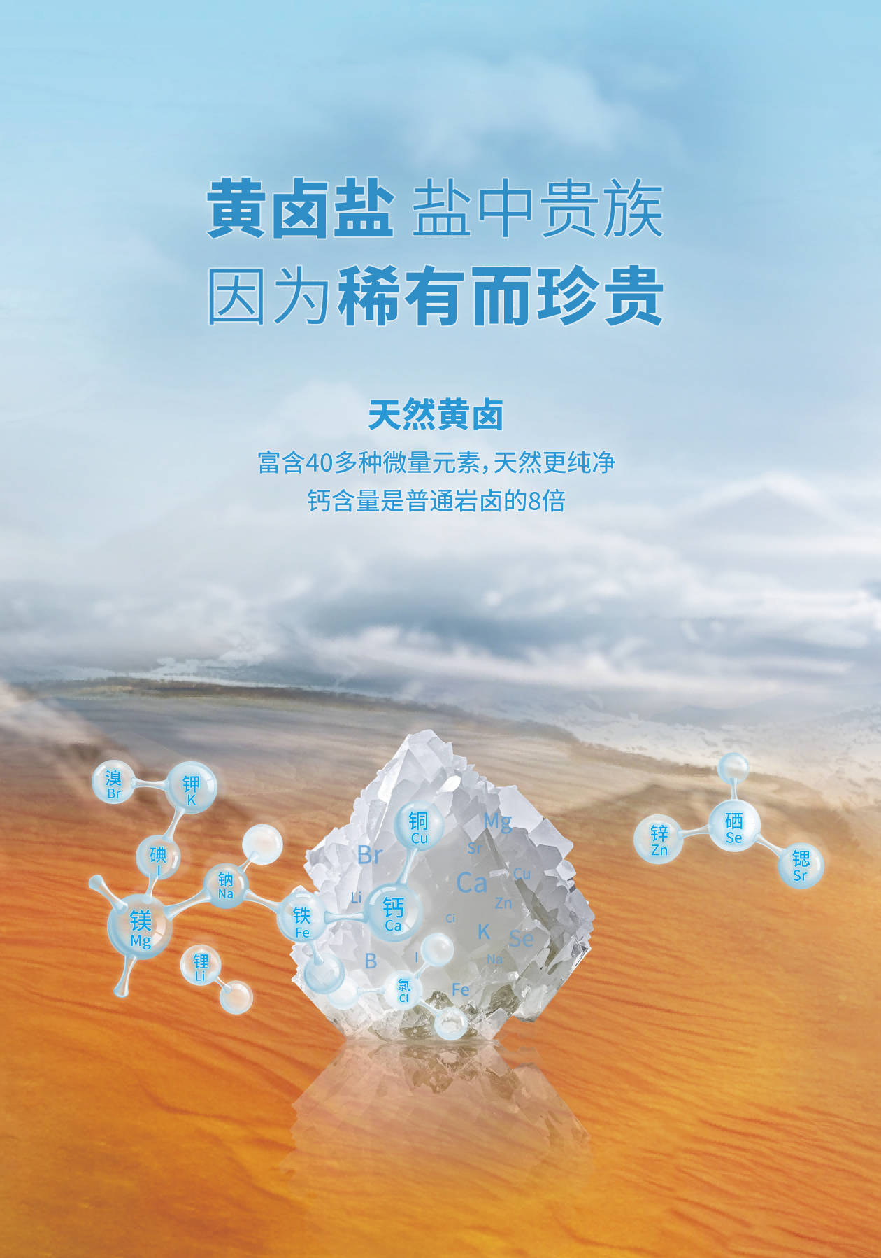 20250423-蓬盐元素图灯箱-分层图20