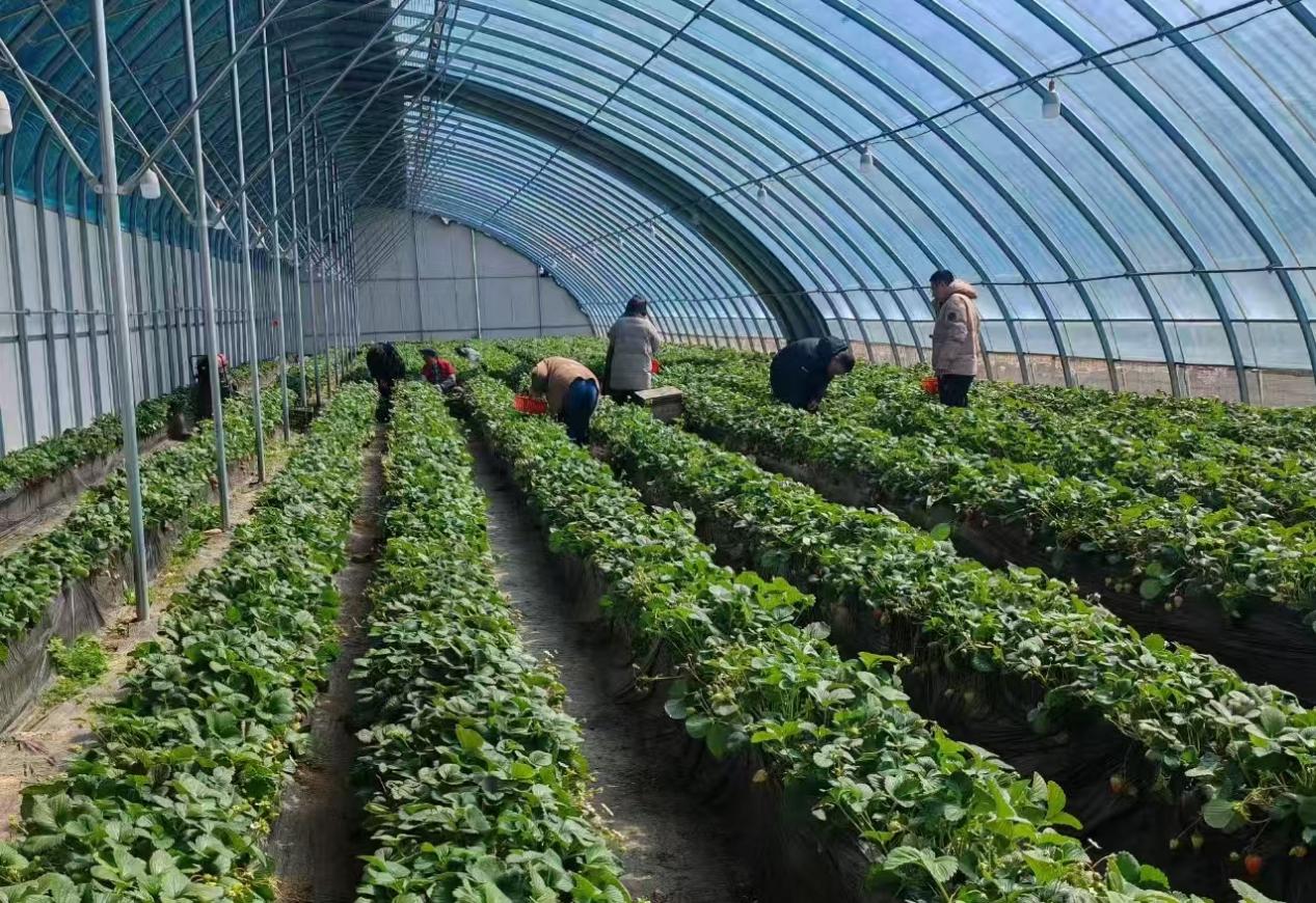 541b4897df126b76e32b7592095a934