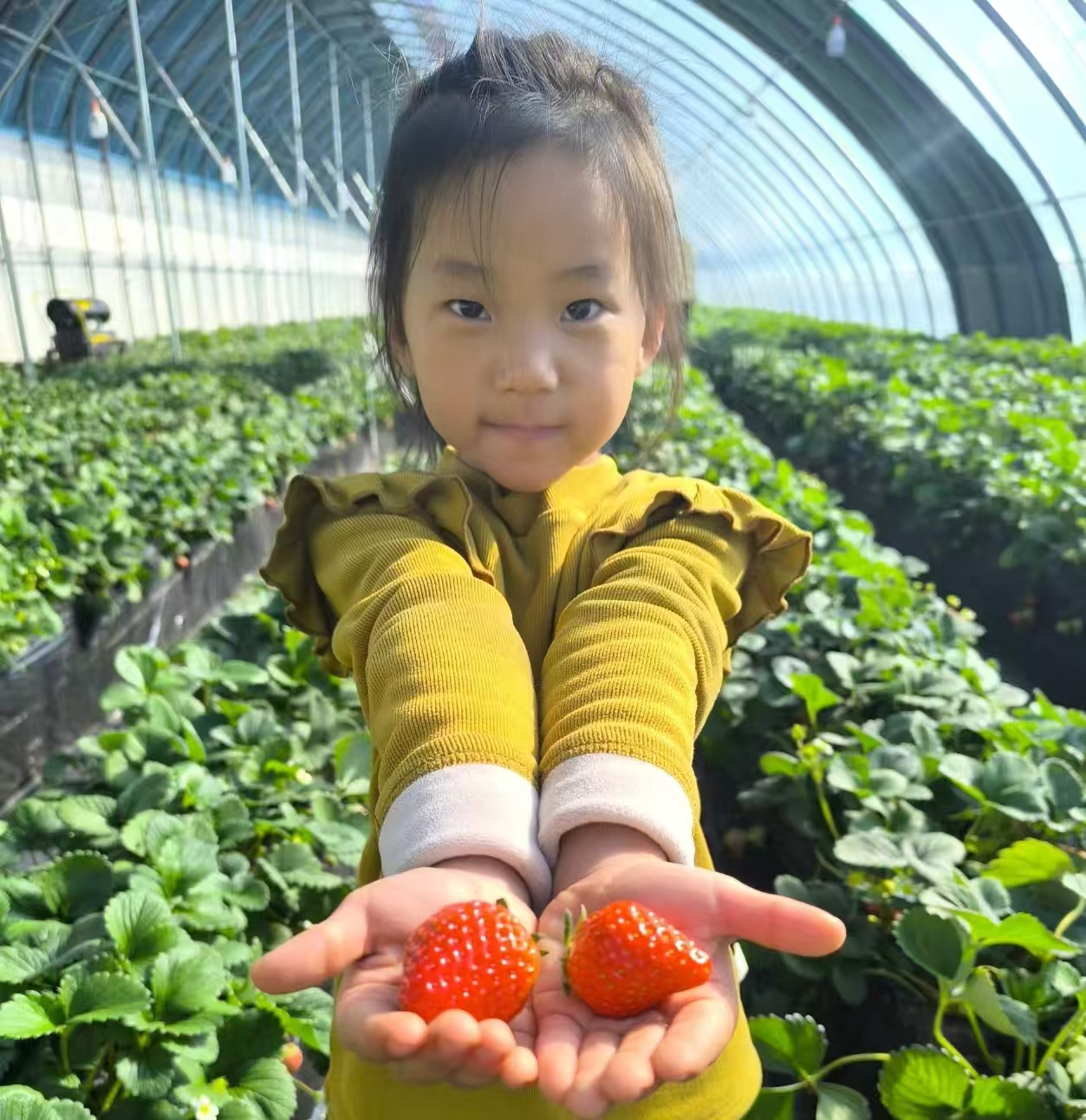 b19c44c82f918815a9c996fcc1cdc99