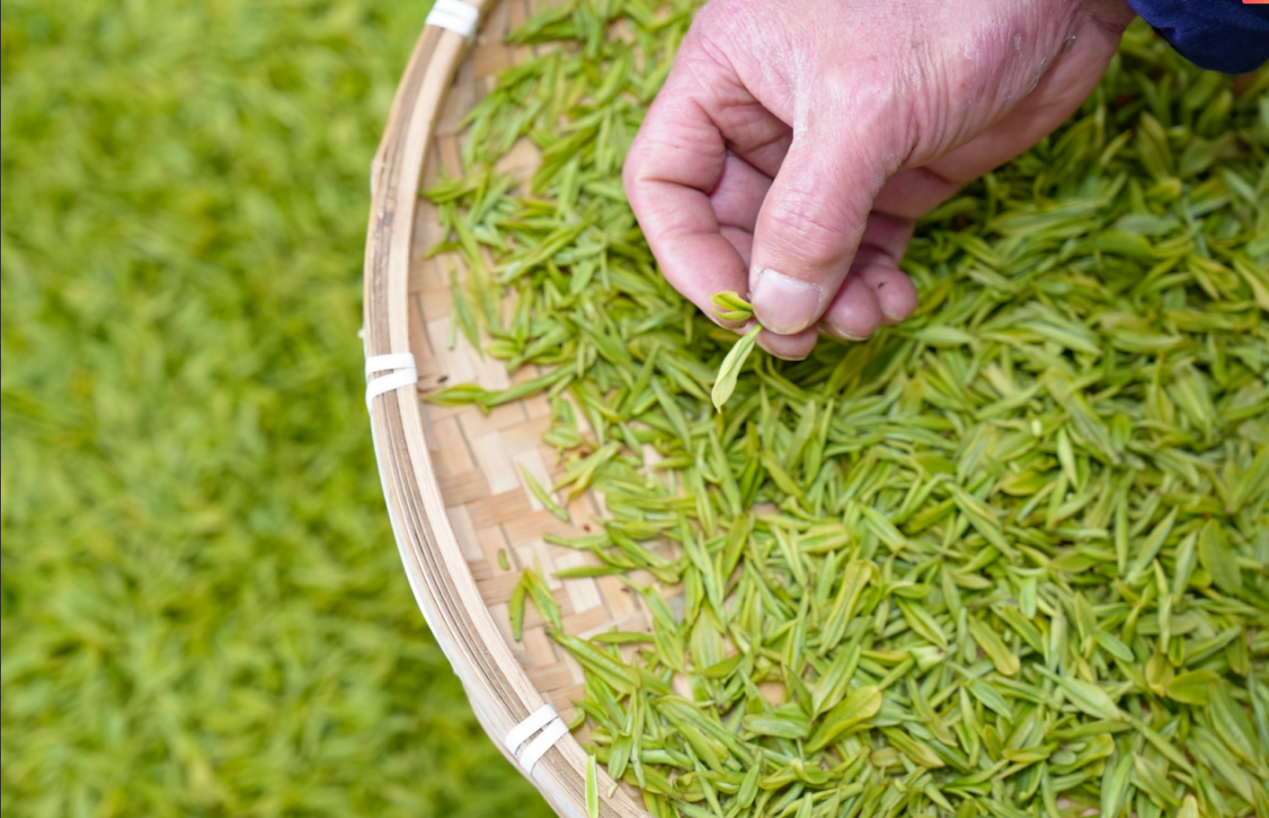 16e807ef-bda2-4934-af60-c0983477b477