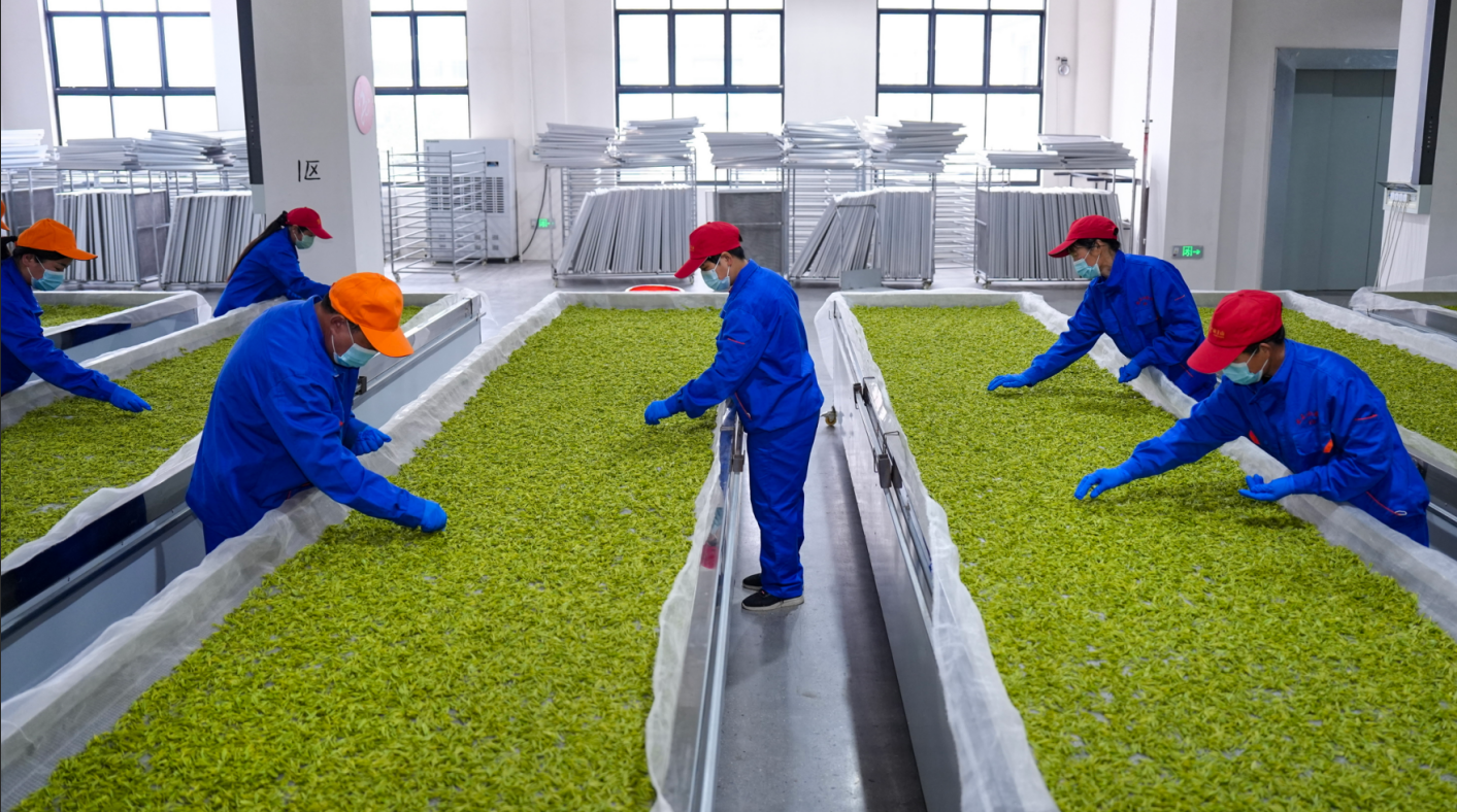 d6cc44aa-a52b-4290-bd53-3fd5341b108a