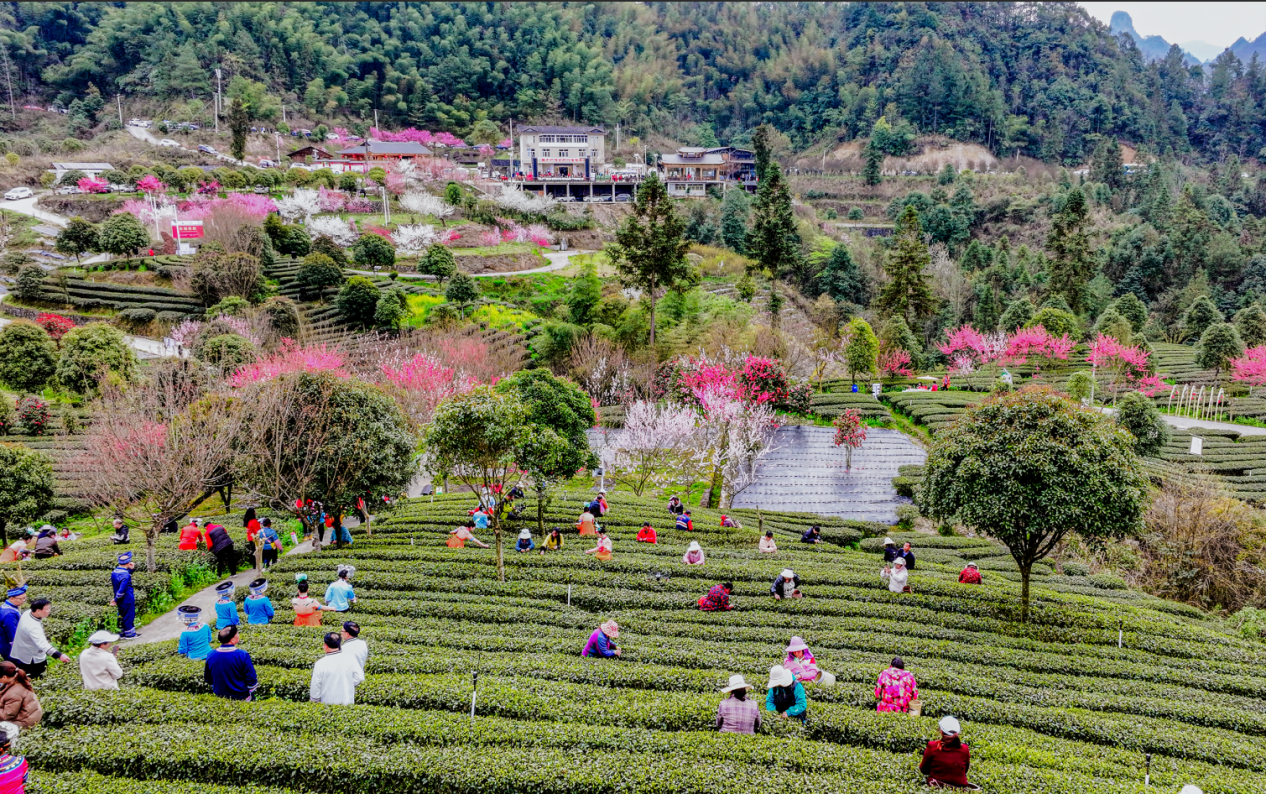 22f9691d-21d4-4d7a-803c-b03850c9bbf5