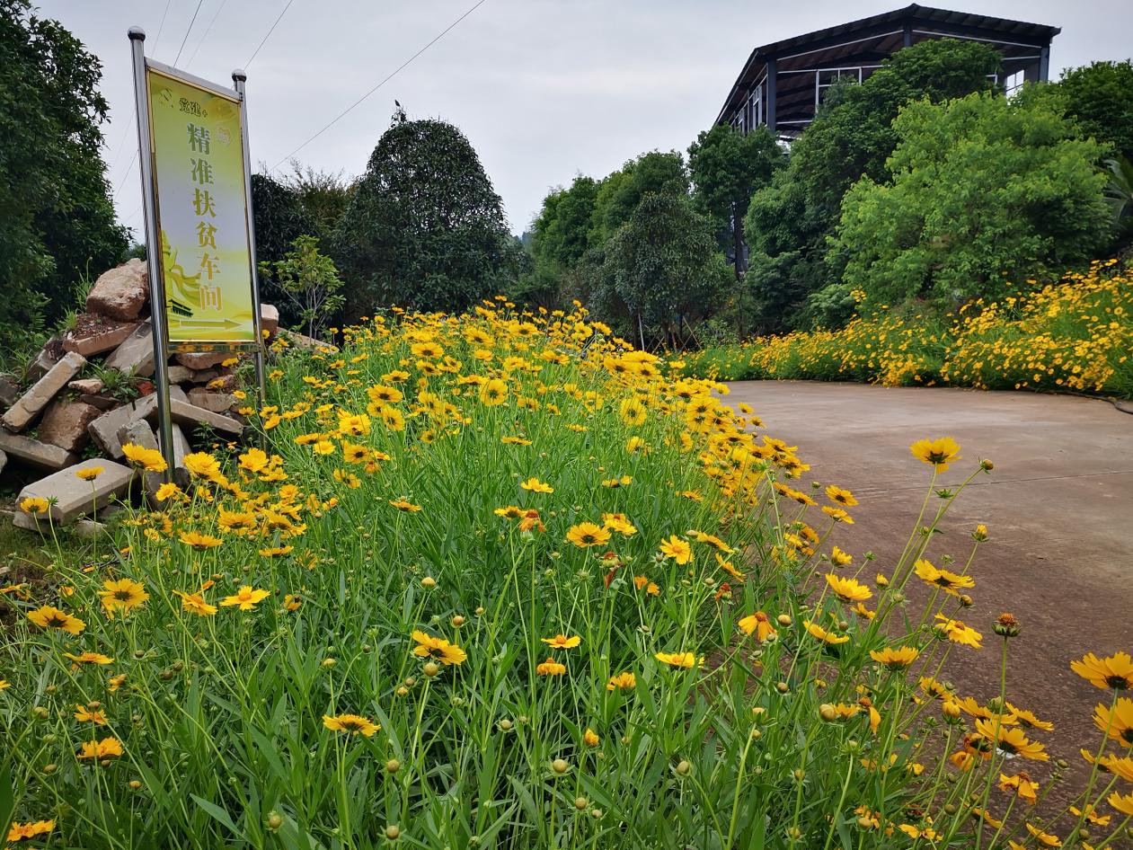 微信图片_20260323205102_152_40