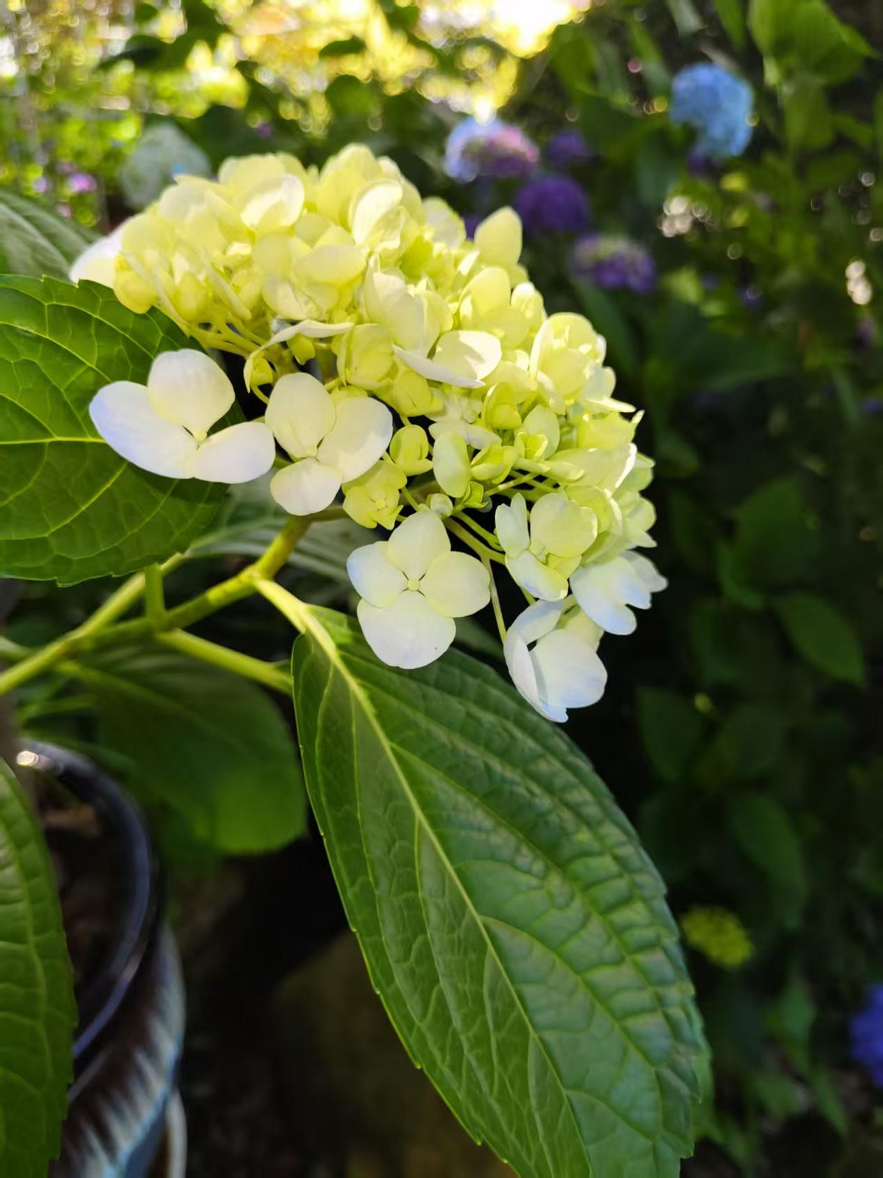 微信图片_20260323182240_147_40