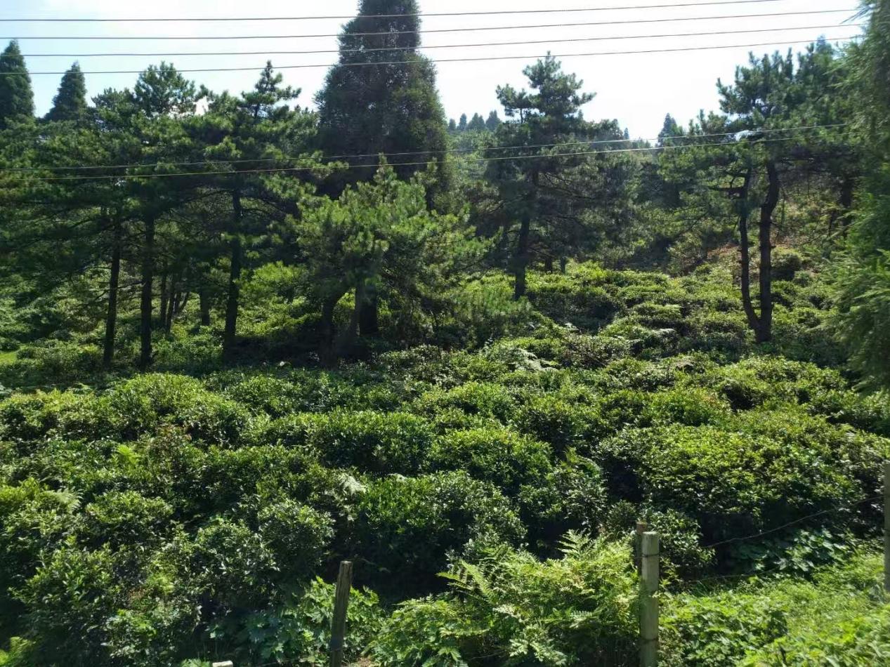 ΢��ͼƬ_20260331210427_159_40