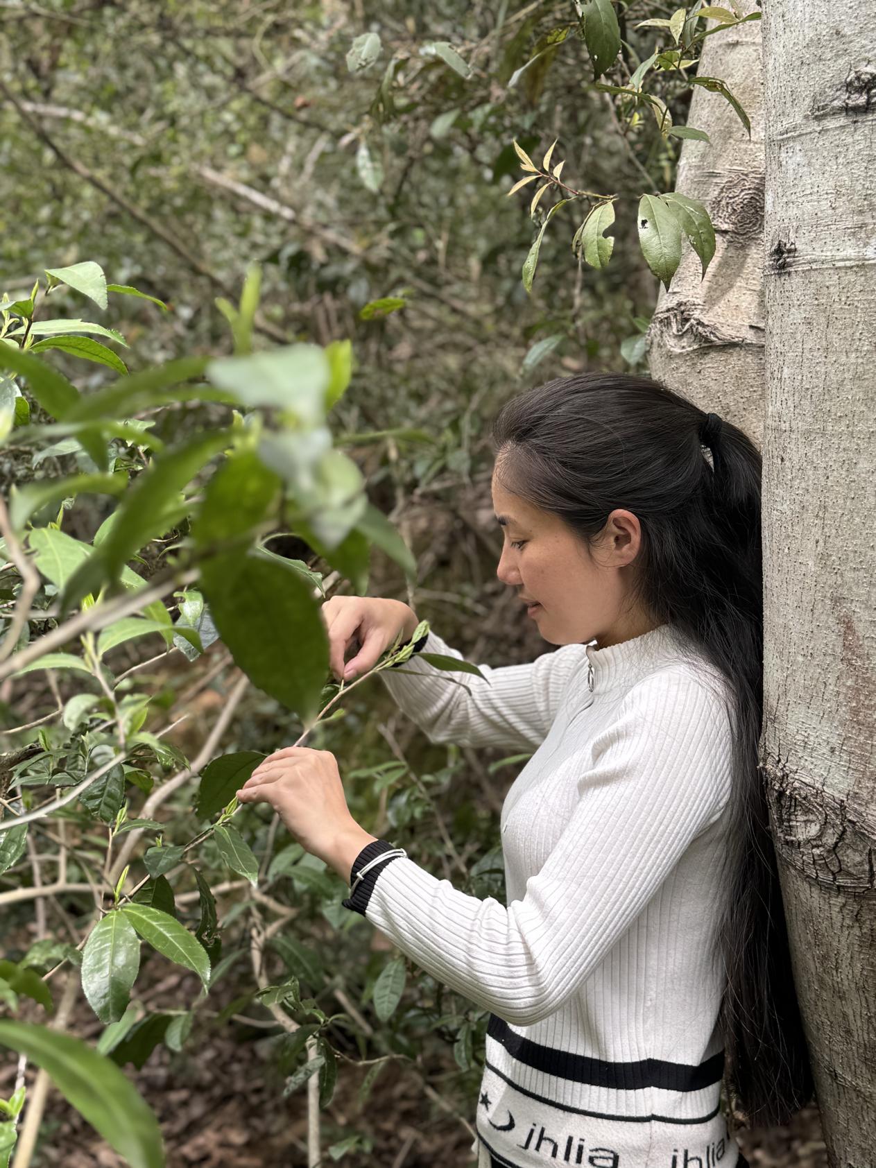 ΢��ͼƬ_20260331210426_158_40