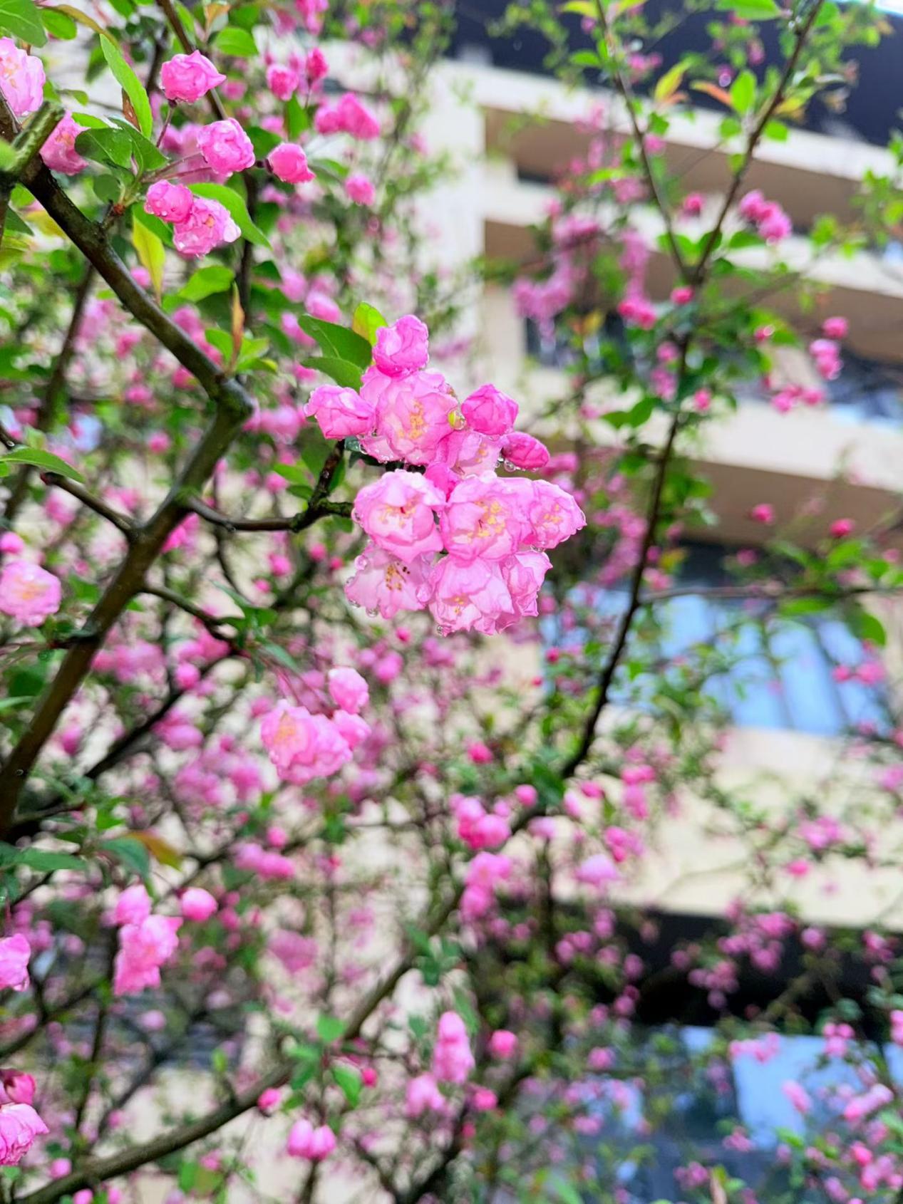 微信图片_20260323182130_145_40