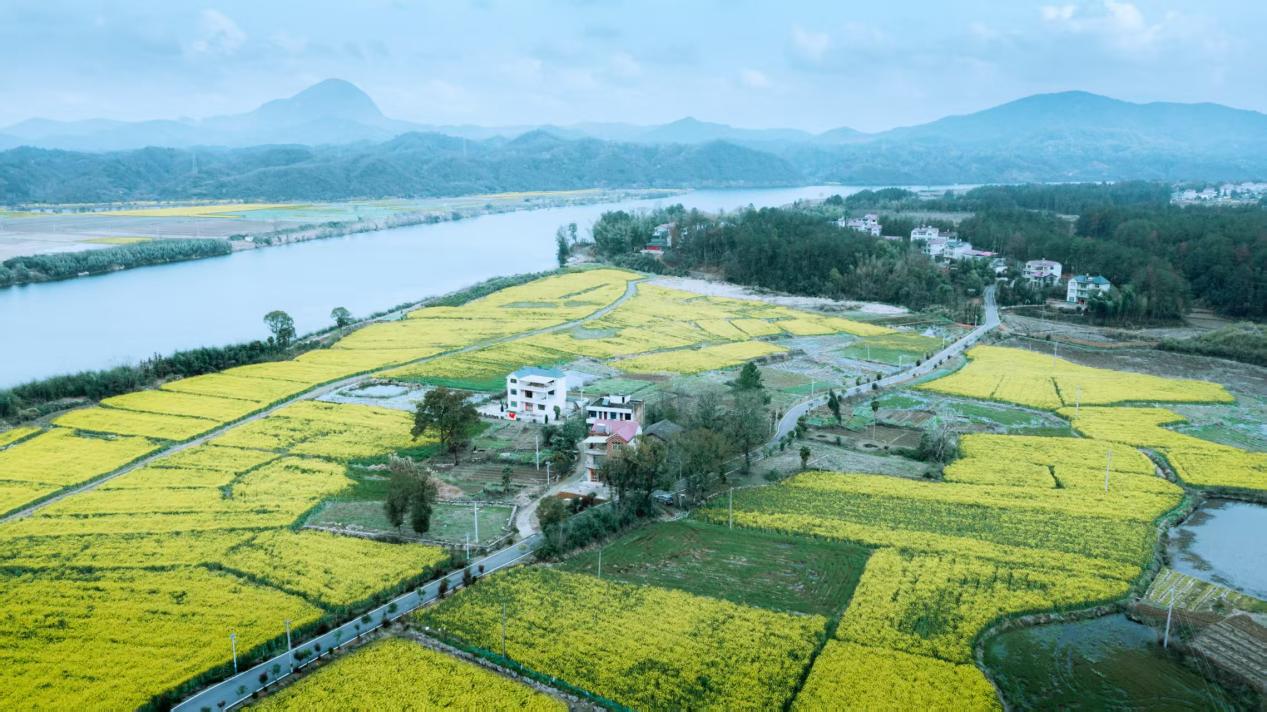 微信图片_20260323181754_141_40