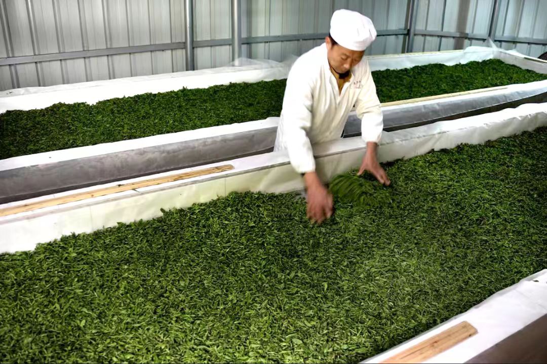 ΢��ͼƬ_20260331210631_160_40