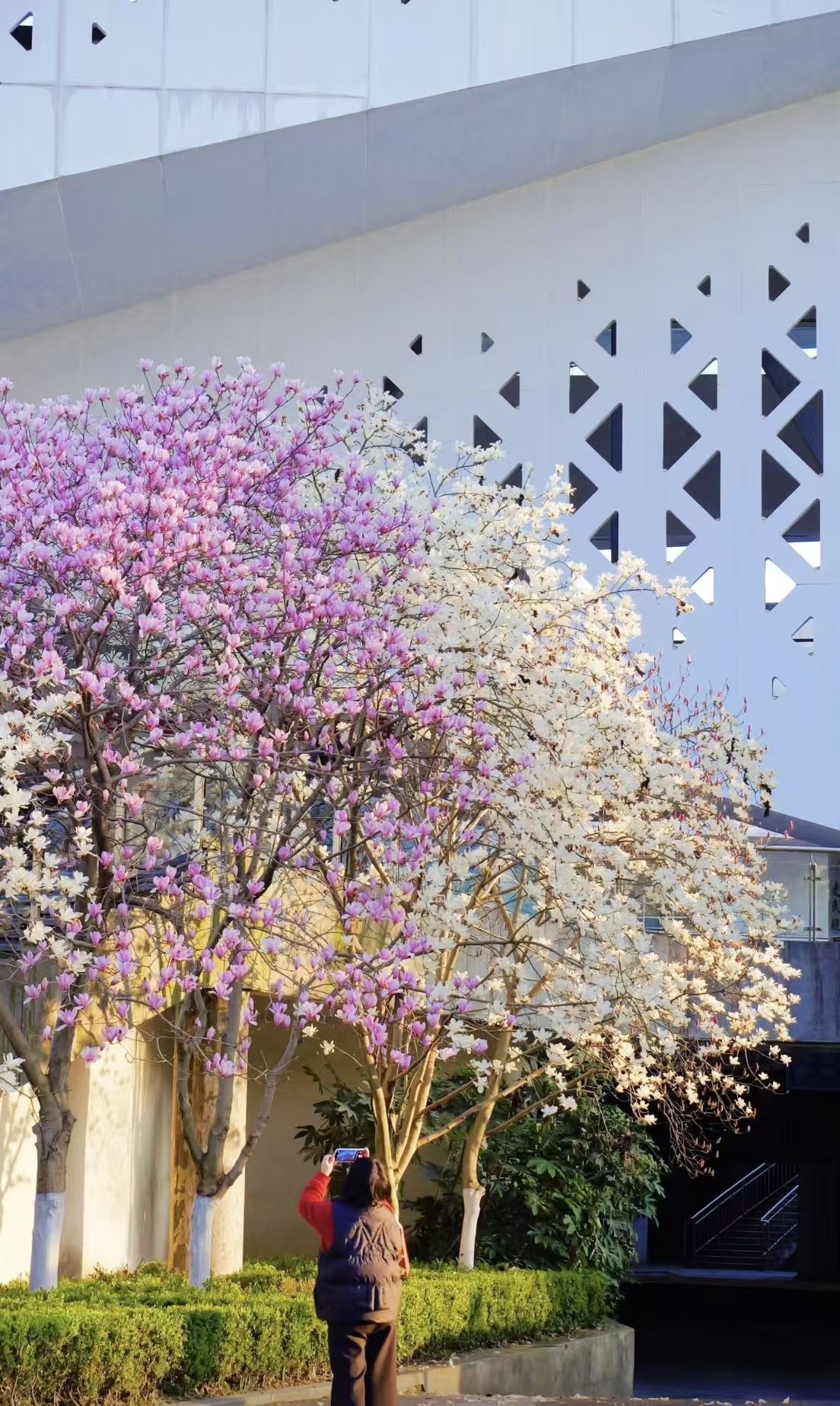 微信图片_20260323205524_154_40