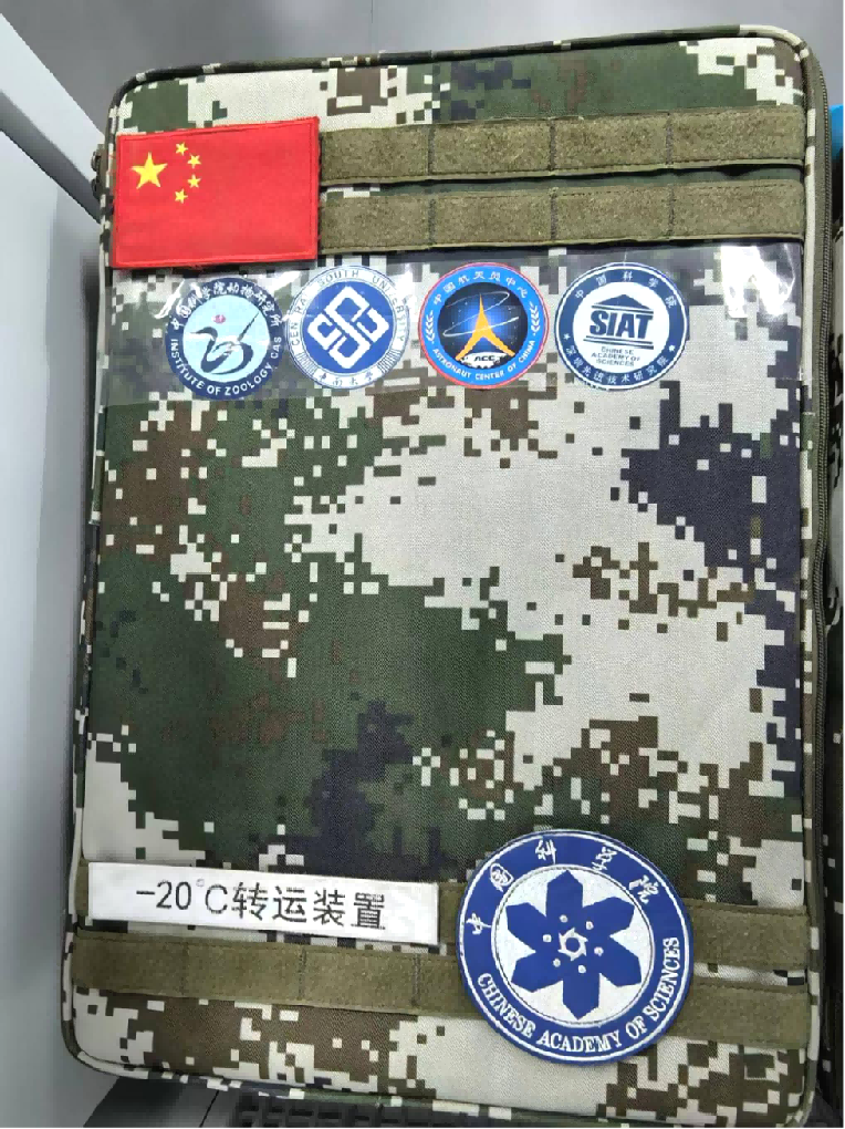 【新闻稿】深圳先进院小鼠胚胎实验样品成功返回，助力揭示空间生命孕育奥秘（定稿）(2)1870