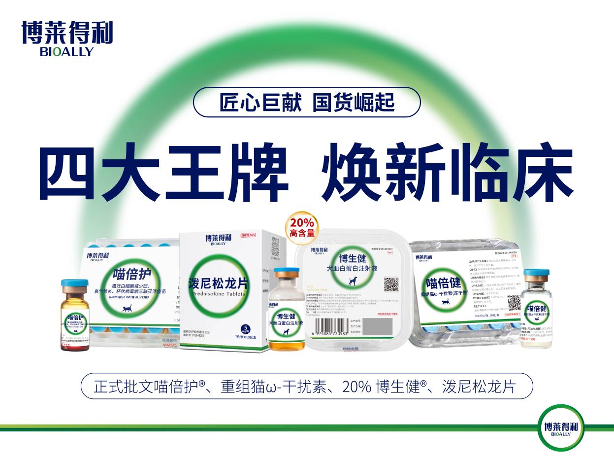 四大王牌产品