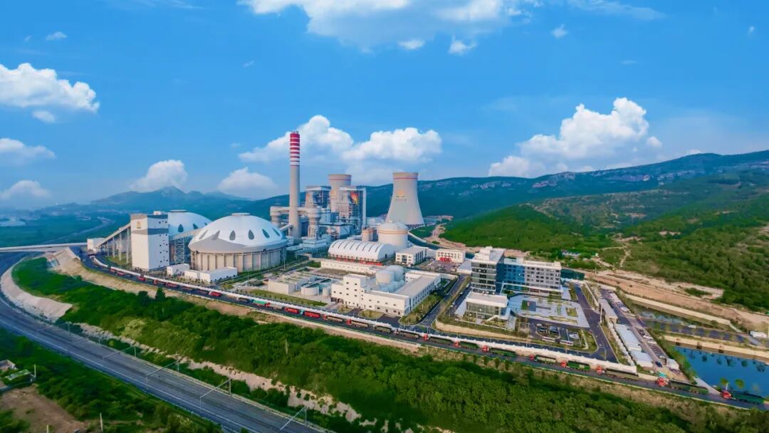 IMG_256