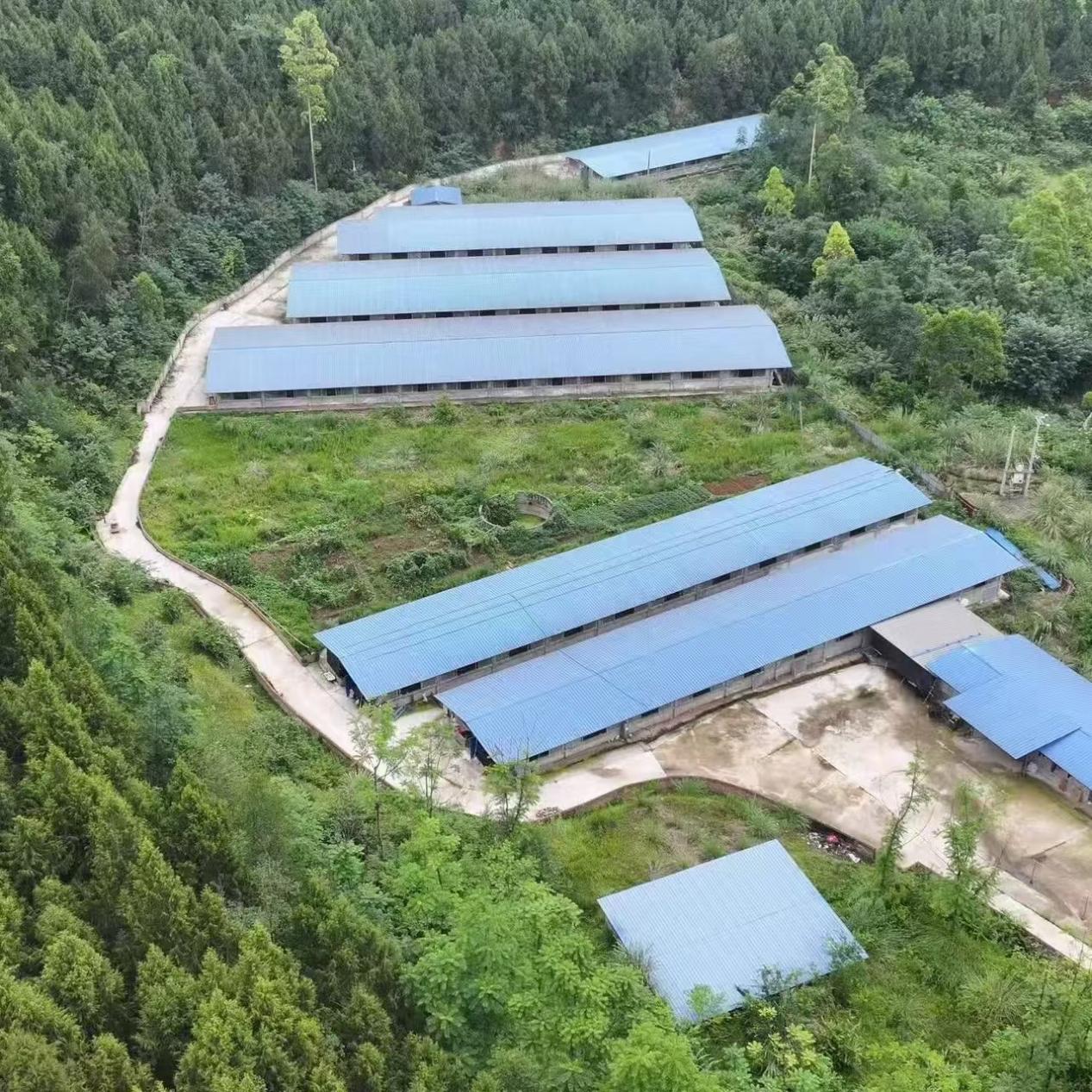 b82c744d2df67153776703b74eef915a