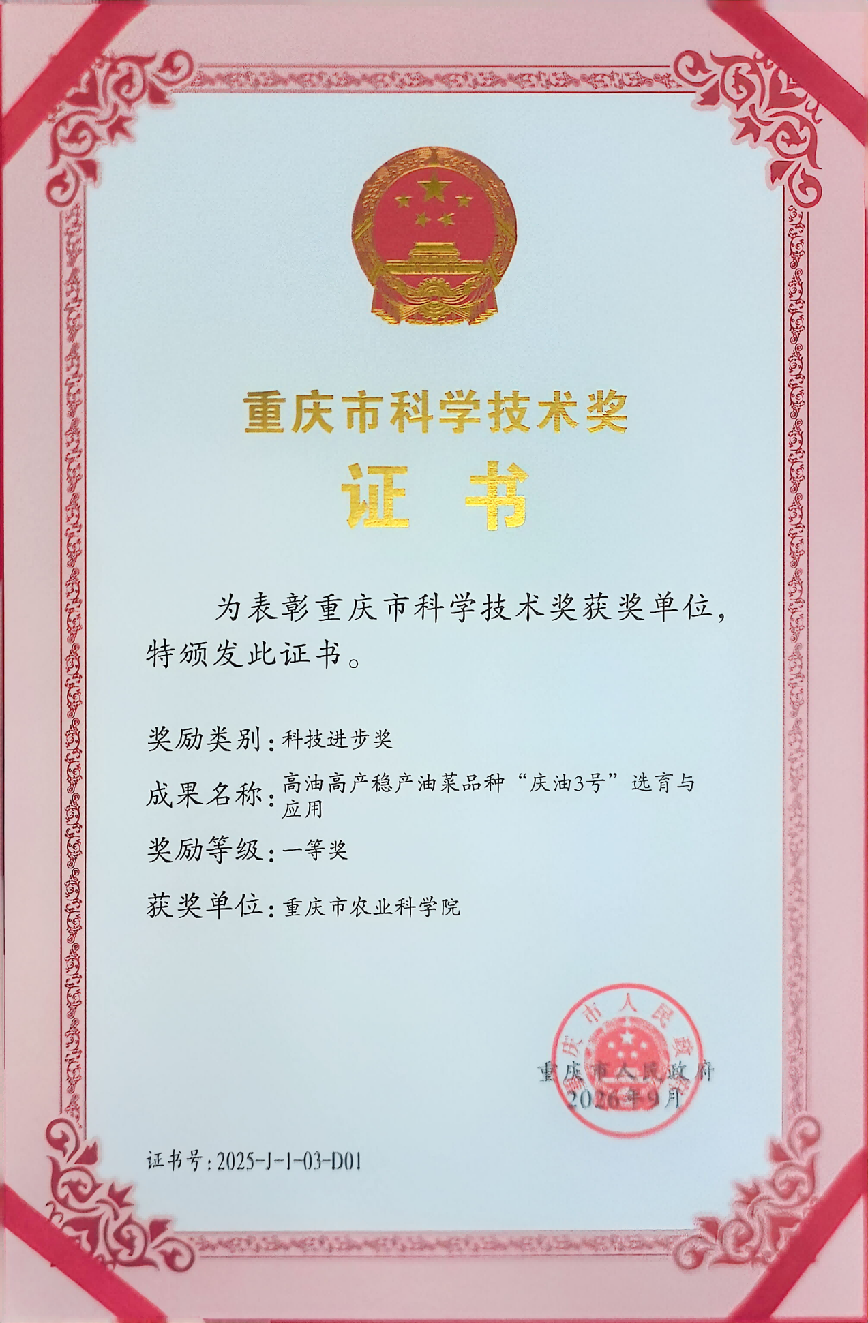 重庆市科学技术奖 荣誉证书_02