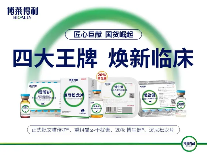 四大王牌产品